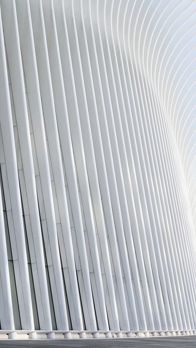 Laura Tancredi's architecture modern video