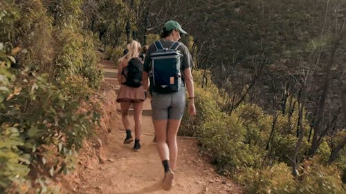 Women Carrying Backpacks Hiking