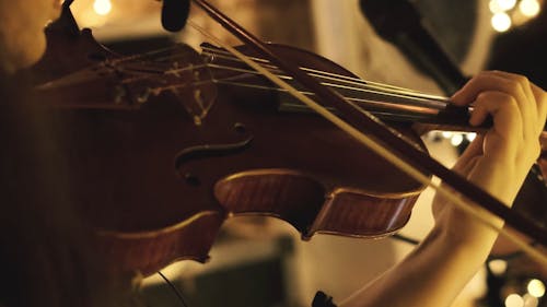 Woman Playing Violin