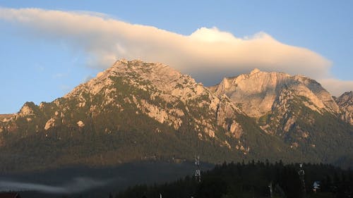 Time Lapse Video of a Mountain Forest