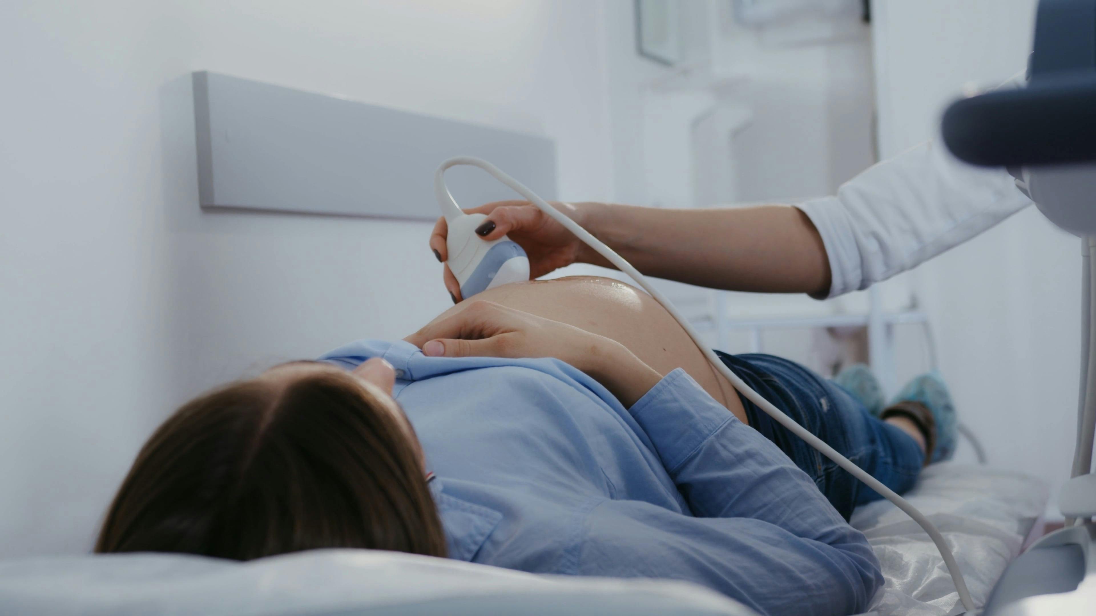 90,000+ Best Human Anatomy Videos · 100 Free Download · Pexels Stock