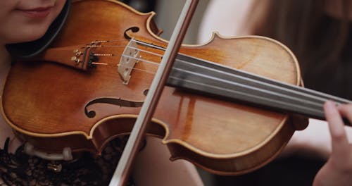 A Woman Playing the Violin