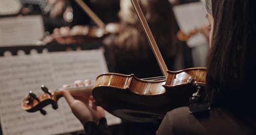 A Group of Women Playing Musical Instruments