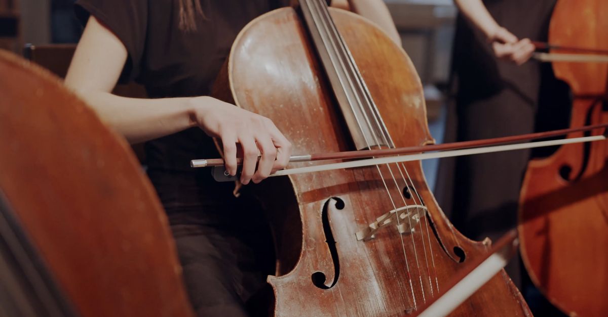 Professional Musicians Instruments Talented Professional Musicians Performing Free Stock Video Footage ...