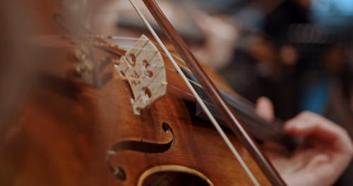 Violin Videos, Download The BEST Free 4k Stock Video Footage & Violin HD  Video Clips