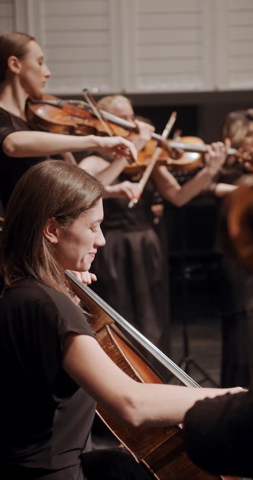 Women Playing Bowed Stringed Instruments