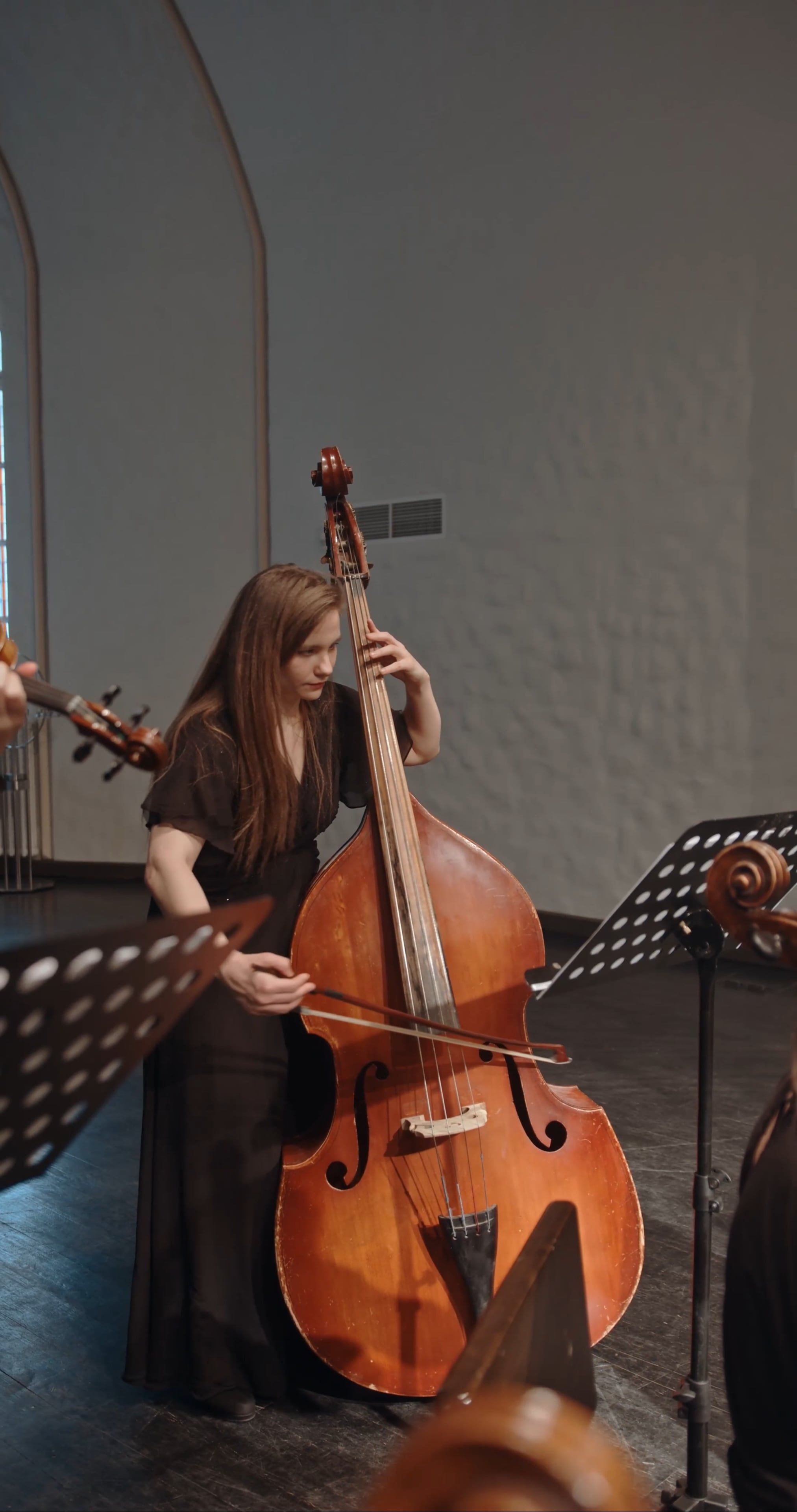 Gratis lagervideo af ensemble, koncert, kontrabas