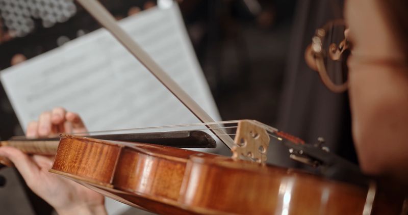 People Playing Classical Music Free Stock Video Footage, Royalty-Free ...