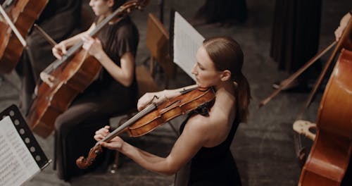 A Group of Women Playing Musical Instruments