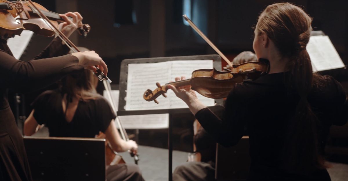 Professional Musicians Instruments Talented Professional Musicians Performing Free Stock Video Footage ...