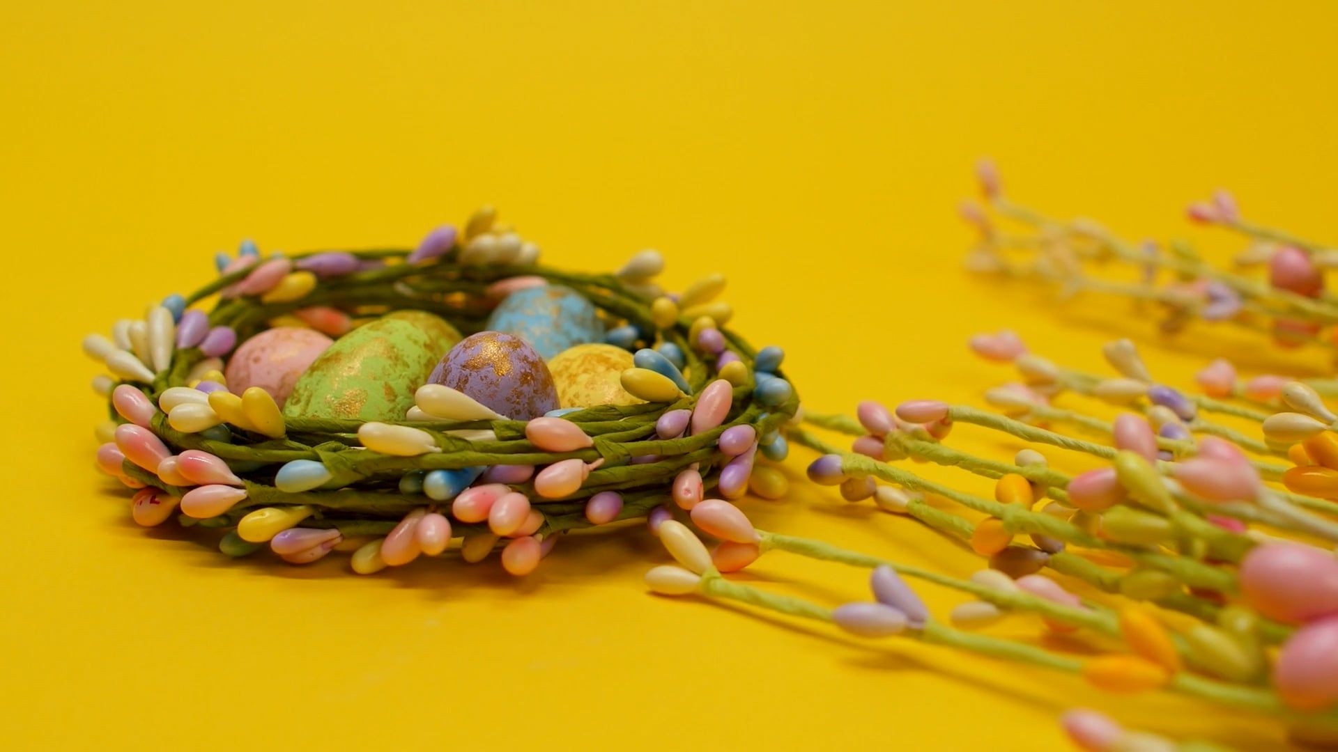 Budding Egg Videos, Download The BEST Free 4k Stock Video Footage ...
