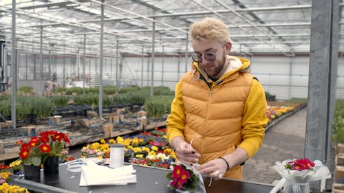 A Man Wrapping and Decorating a Plant with Mesh Fabric