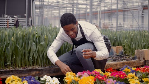 A Man Inspecting a Plant