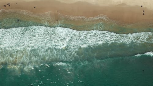 Top View of the People on Beach Shore