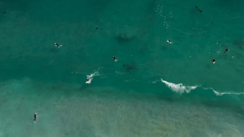 Aerial Footage Of People Surfing