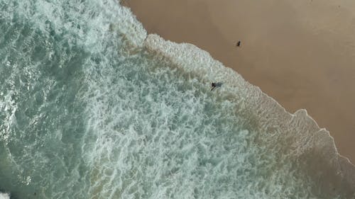 Drone Footage of Surfers Running Out from the Beach Waves