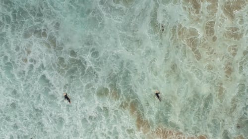 Drone Footage of People Surfing on the Beach