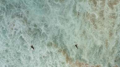 drone footage of people surfing on the beach