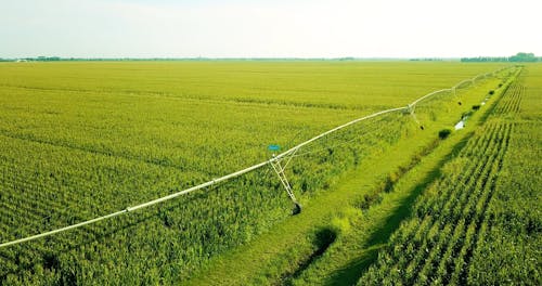 Aerial Footage of a Cropland
