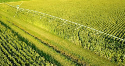 Aerial Footage of Cropland