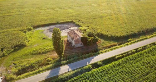 Aerial Footage of a House at a Cropland