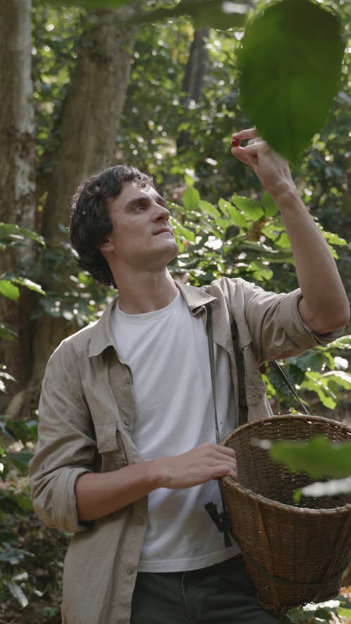 A Man Looking at a Coffee Cherry