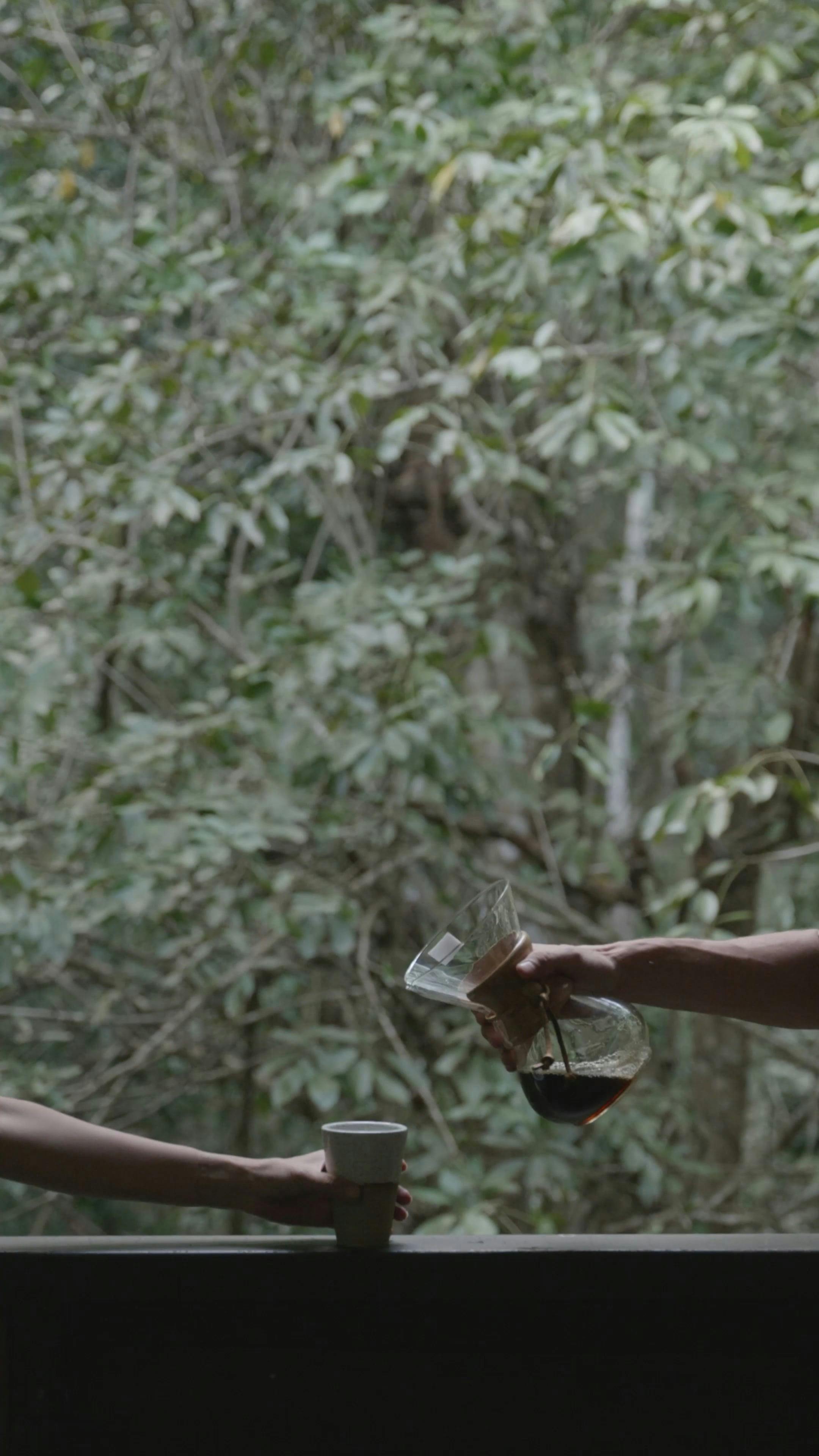 Coffee Videos · Pexels