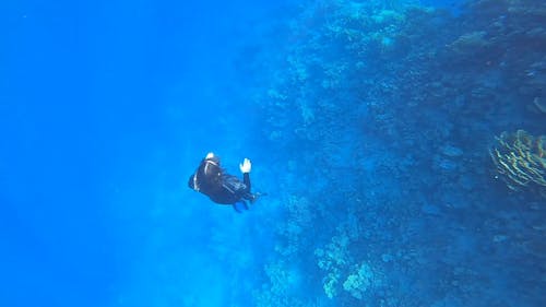 Person Swimming Underwater