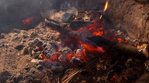 Close-up Footage of a Bonfire