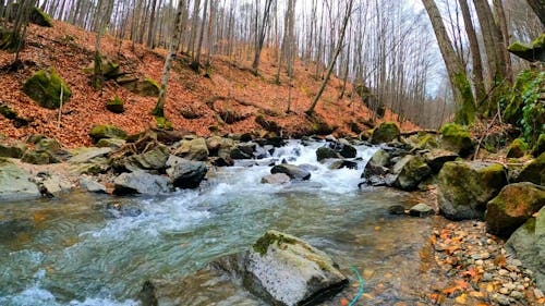 Flowing Water in a River