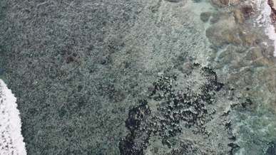 tilt shot of a shoreline on an island