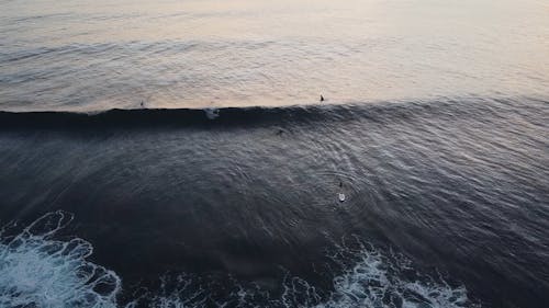 Drone Shot of People Surfing in the Pacific Ocean