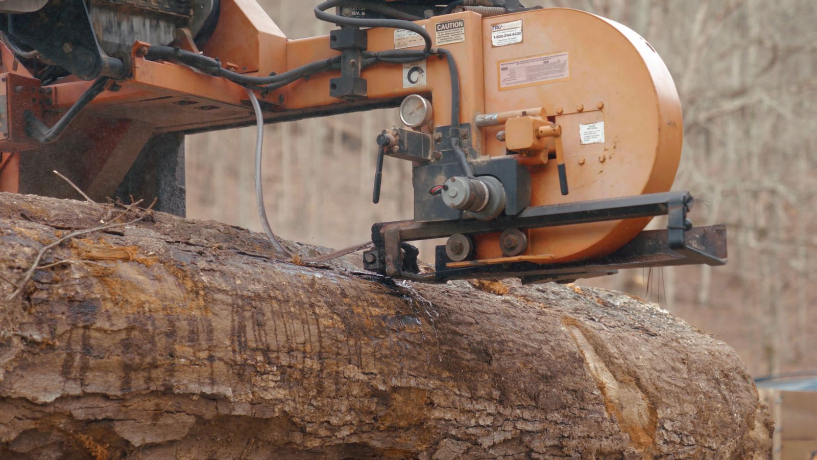 Sawmill processing wood logs