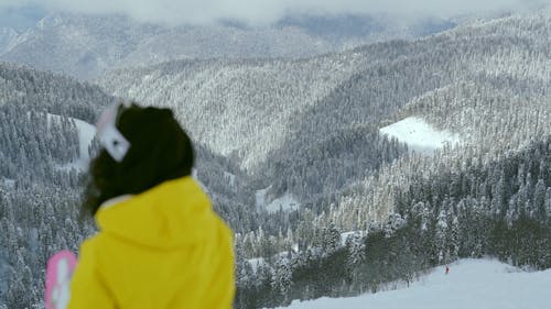 Woman Looking at the View of Snow Covered Trees on the Mountain