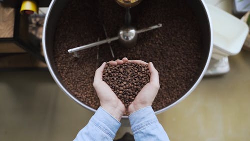 A Coffee Grinder Machine