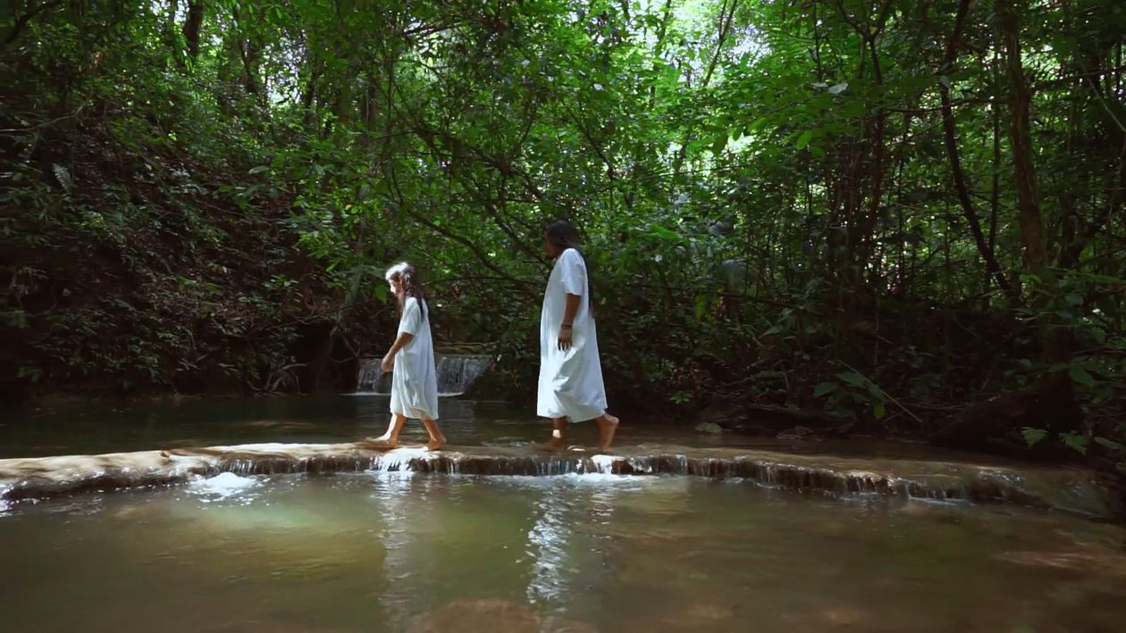 Two people walking through a stream in the woods Free Stock Video ...