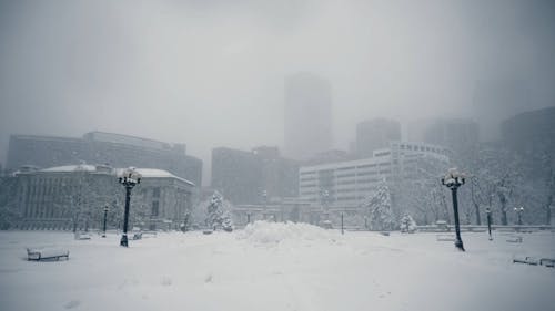 A Snow Covered City