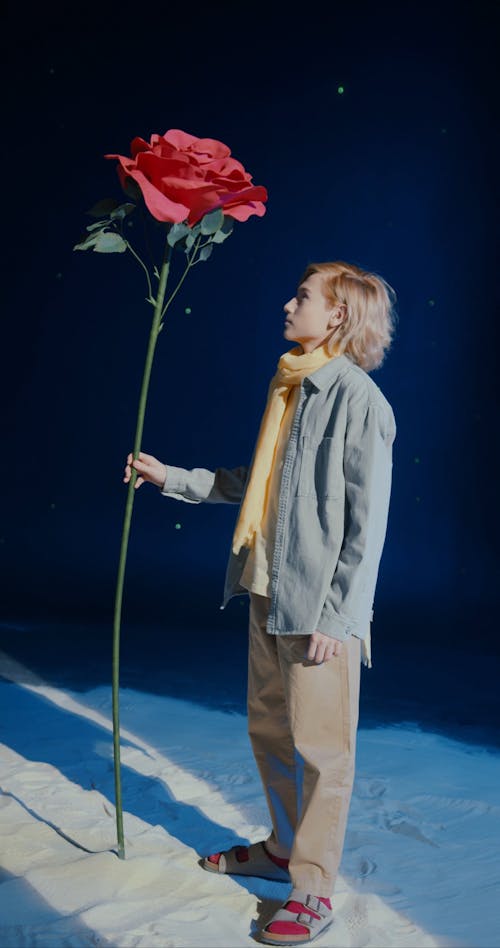 A Boy Fixing The Petal Of A Giant Rose