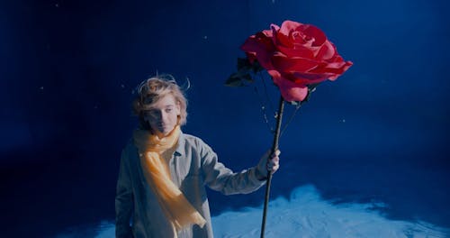 A Boy Holding A Giant Rose Flower