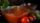 tomato sauce