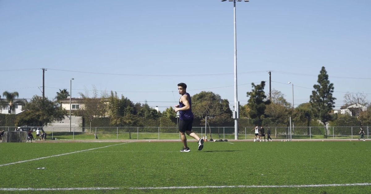 Field Run Exercise Man Running on a Sports Field Free Stock Video Footage, Royalty-Free 4K ...