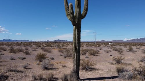 Aerial Shot of a Desert