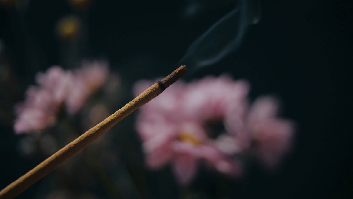 Zen Clips Zen Videos, Download The BEST Free 4k Stock Video Footage & Zen HD ...