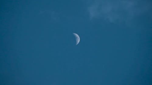 Low Angle Shot of Moon