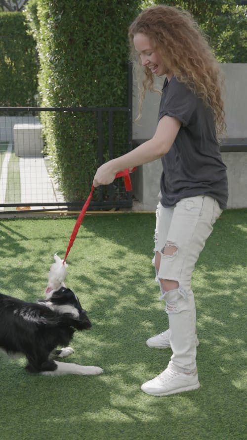 Woman Playing With a Dog on Leash