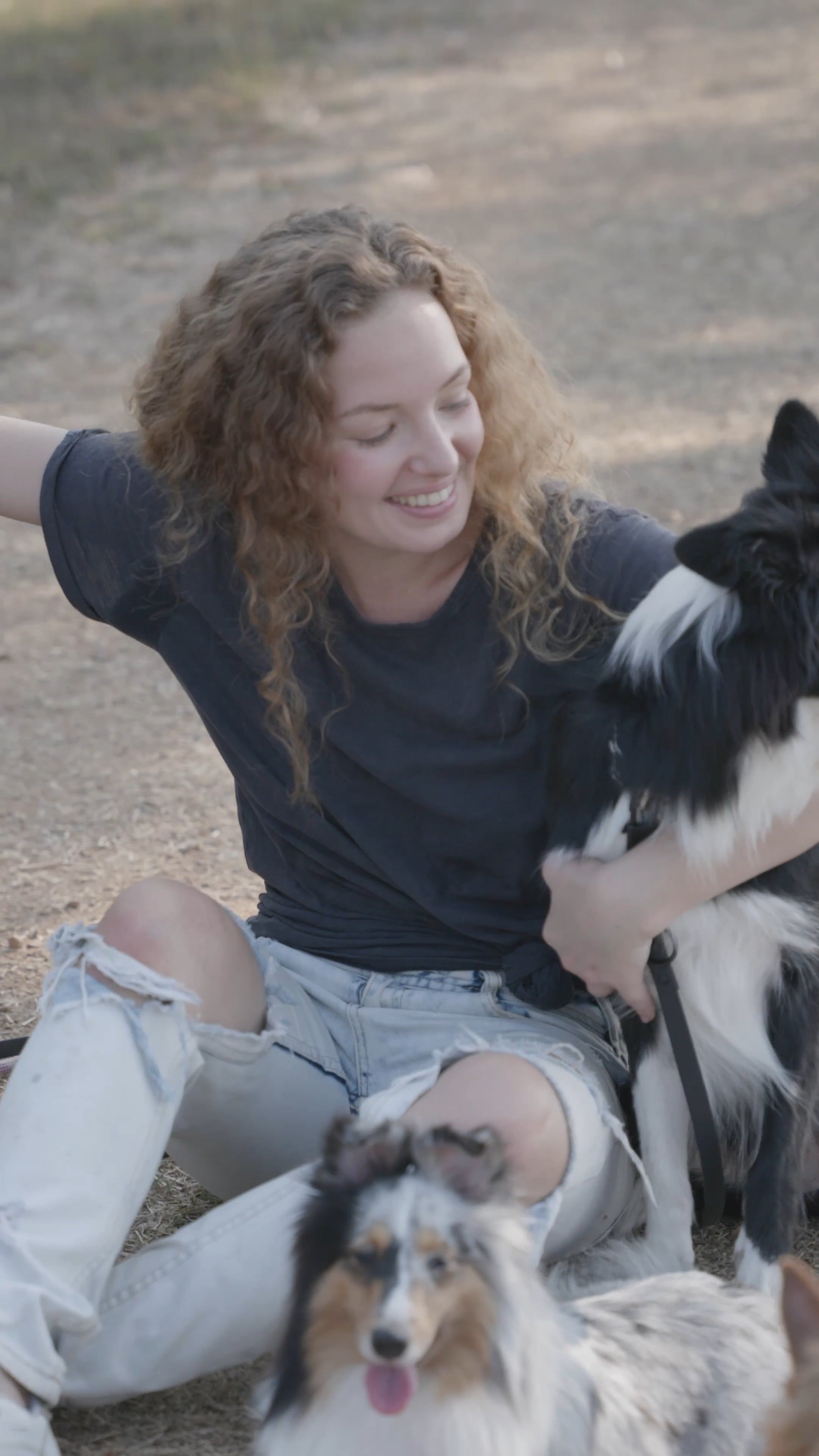 Pet ad still