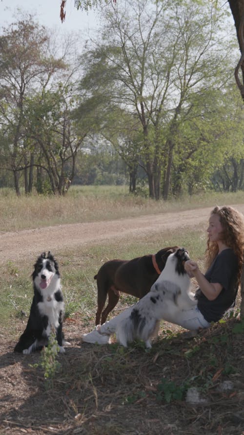 Woman Sitting on the Ground While Feeding Dogs