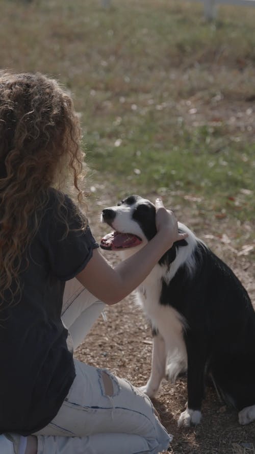 Woman Petting a Sheep Dog