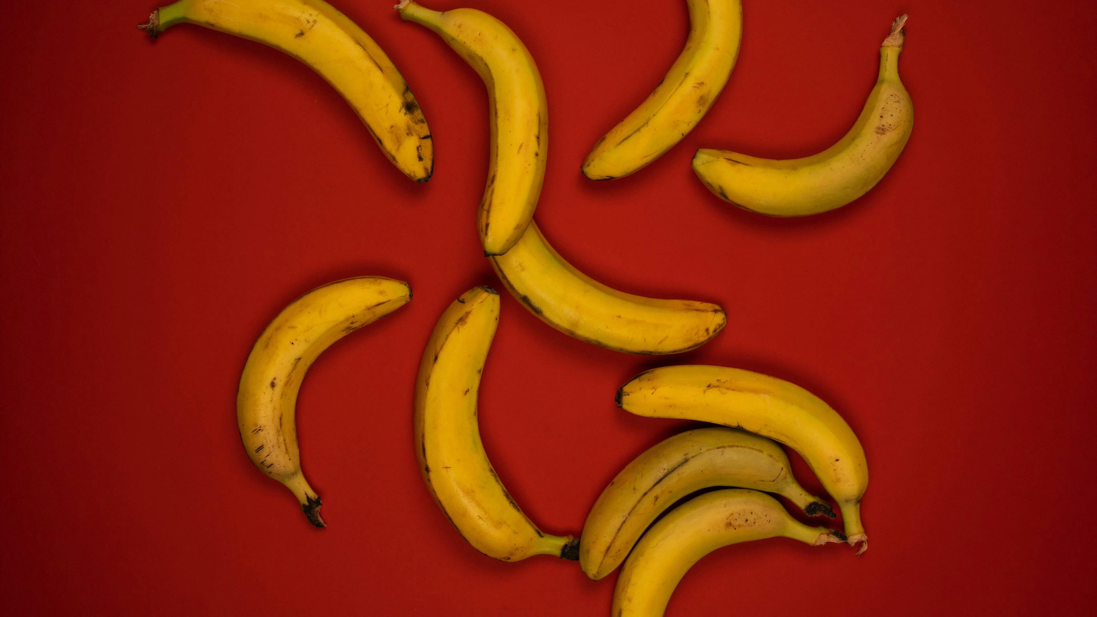 Video by SHVETS production