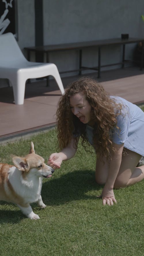 A Woman Playing with a Dog